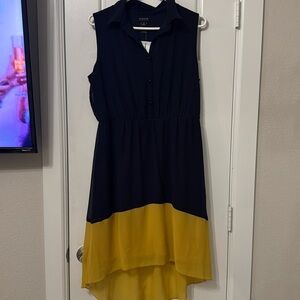 en focus studio black and yellow dress